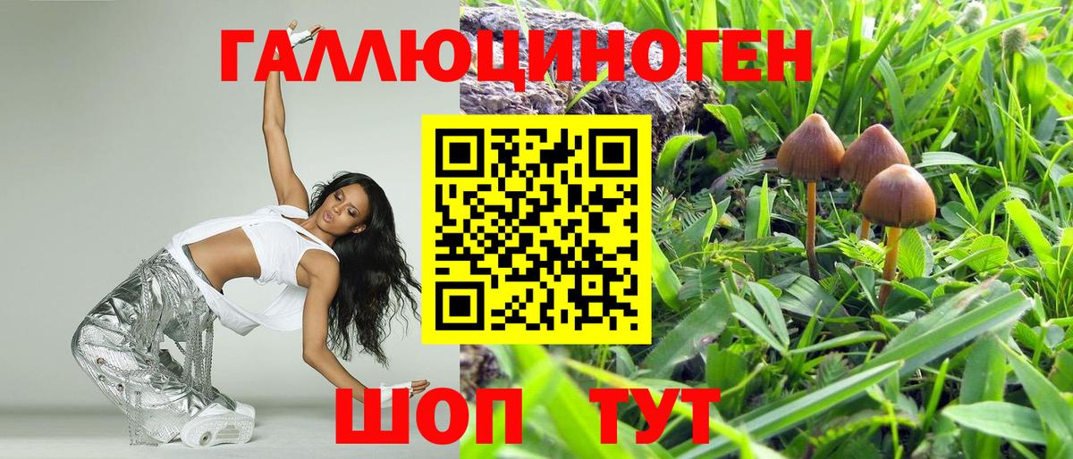 Псилоцибиновые грибы MAGIC MUSHROOMS  Вход с VPN  Нягань 